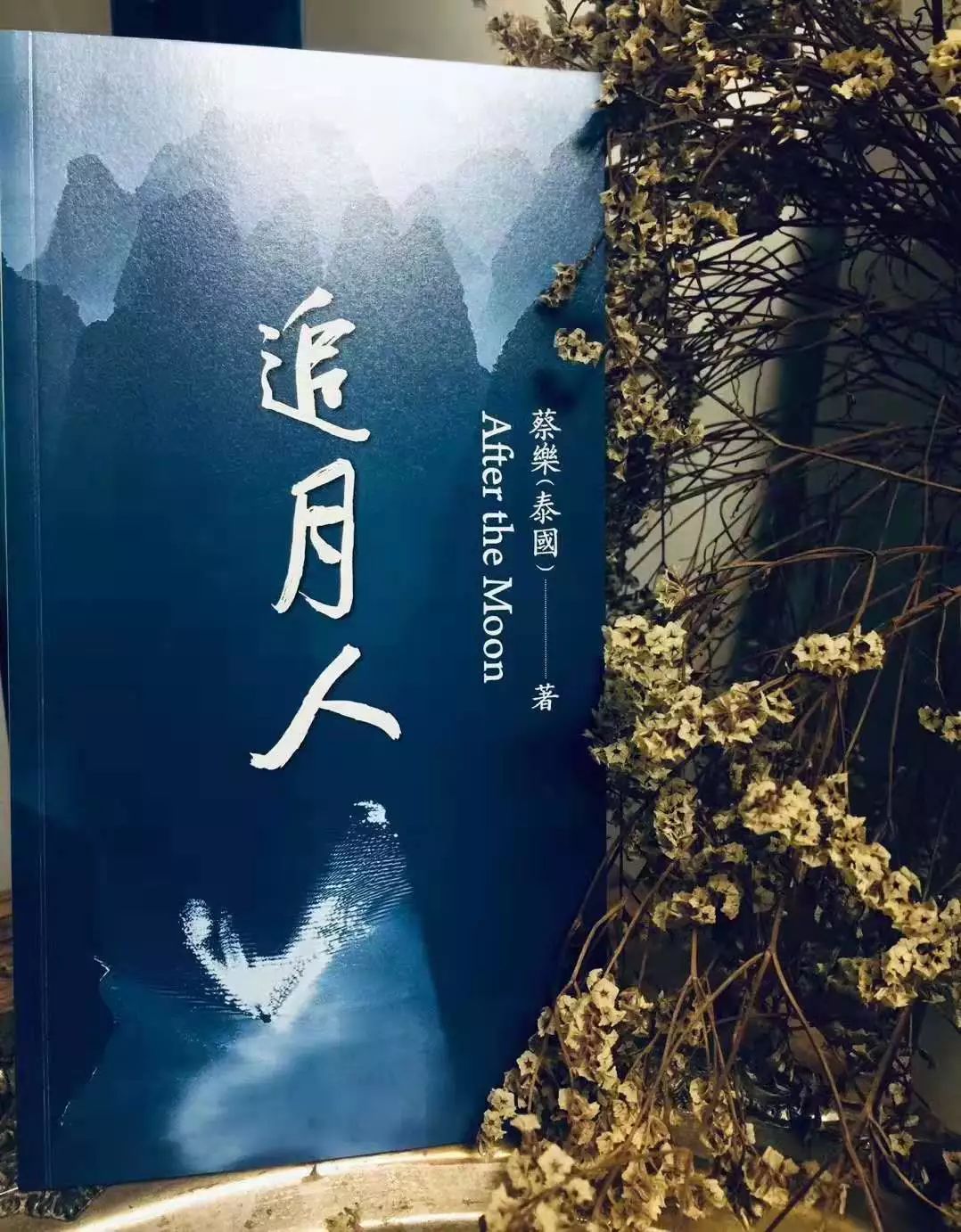 《追月人》大部分诗作是蔡乐先生在广西创作的,他在南宁常驻已三年有