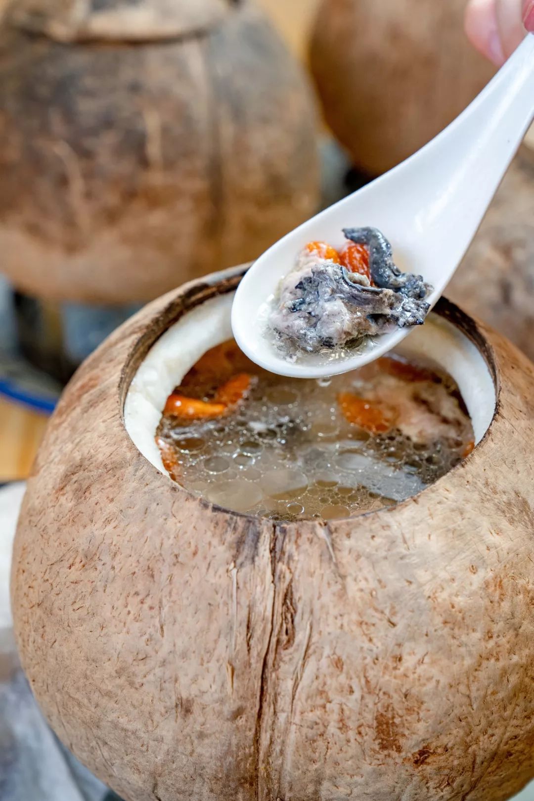 椰子先生燉湯7折斗門的喝湯達人您的福利已送到