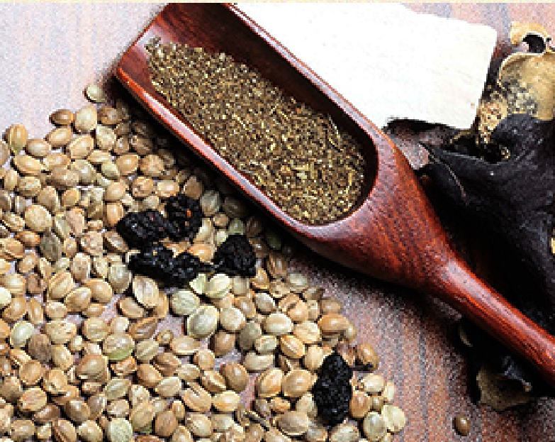 广西巴马火麻茶