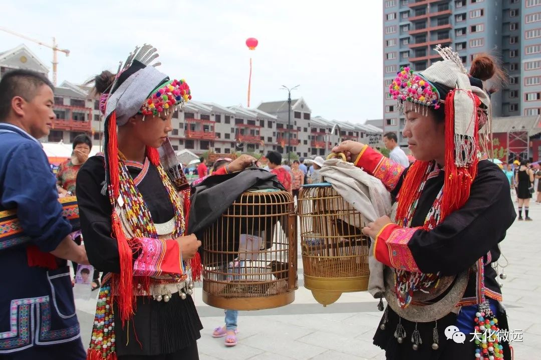 大化县祝著节民族体育竞技赛精彩纷呈