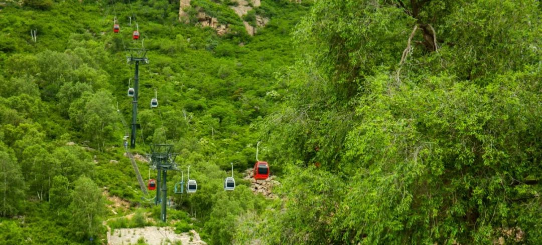 【景区资讯】九龙湾景区首届《丛林啤酒烧烤节》7月13日瞩目开场!
