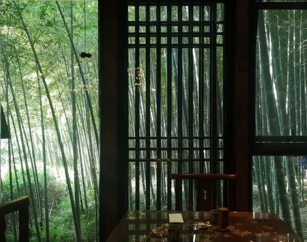 茶馆百态 | 绿竹入幽径,茗香迎翠来 —— 苏州挹翠轩茶苑_竹林