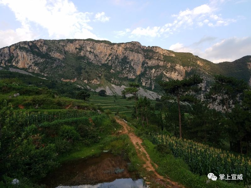 宣威米田太板扎了空气清新来了就不想出克