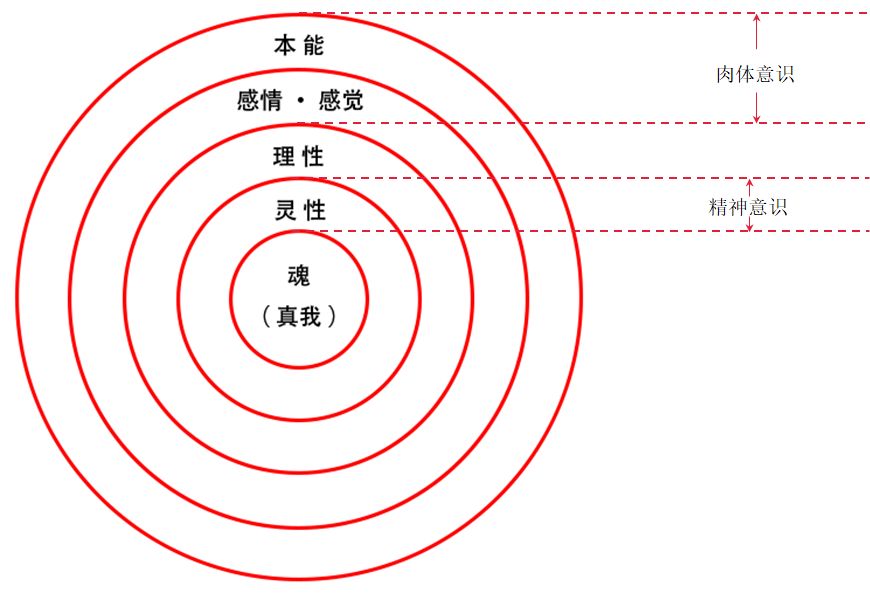 在我看来