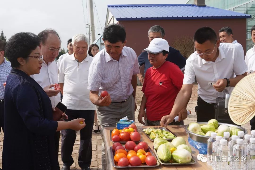 赵楠县长图片