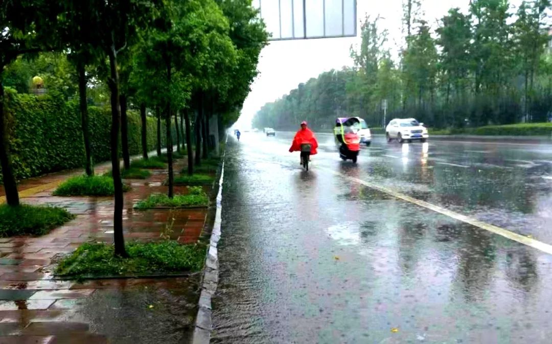 雨中堅守,他們的身影穿梭城市之間_大雨