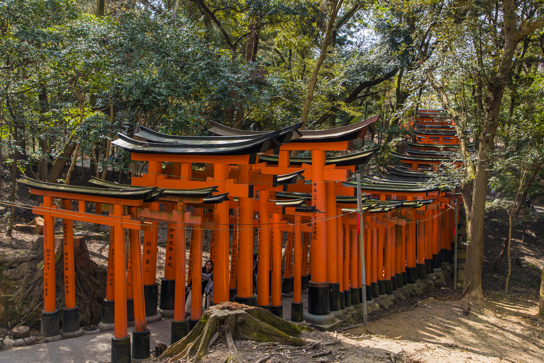 日本千鸟居图片