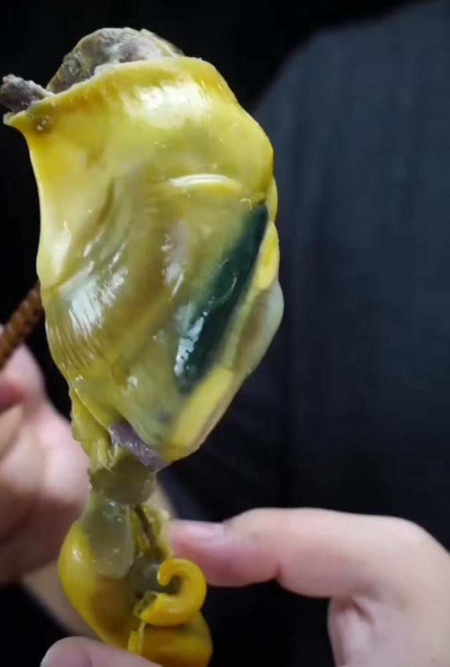 这么多年终于知道为什么吃海螺像喝酒一样晕了