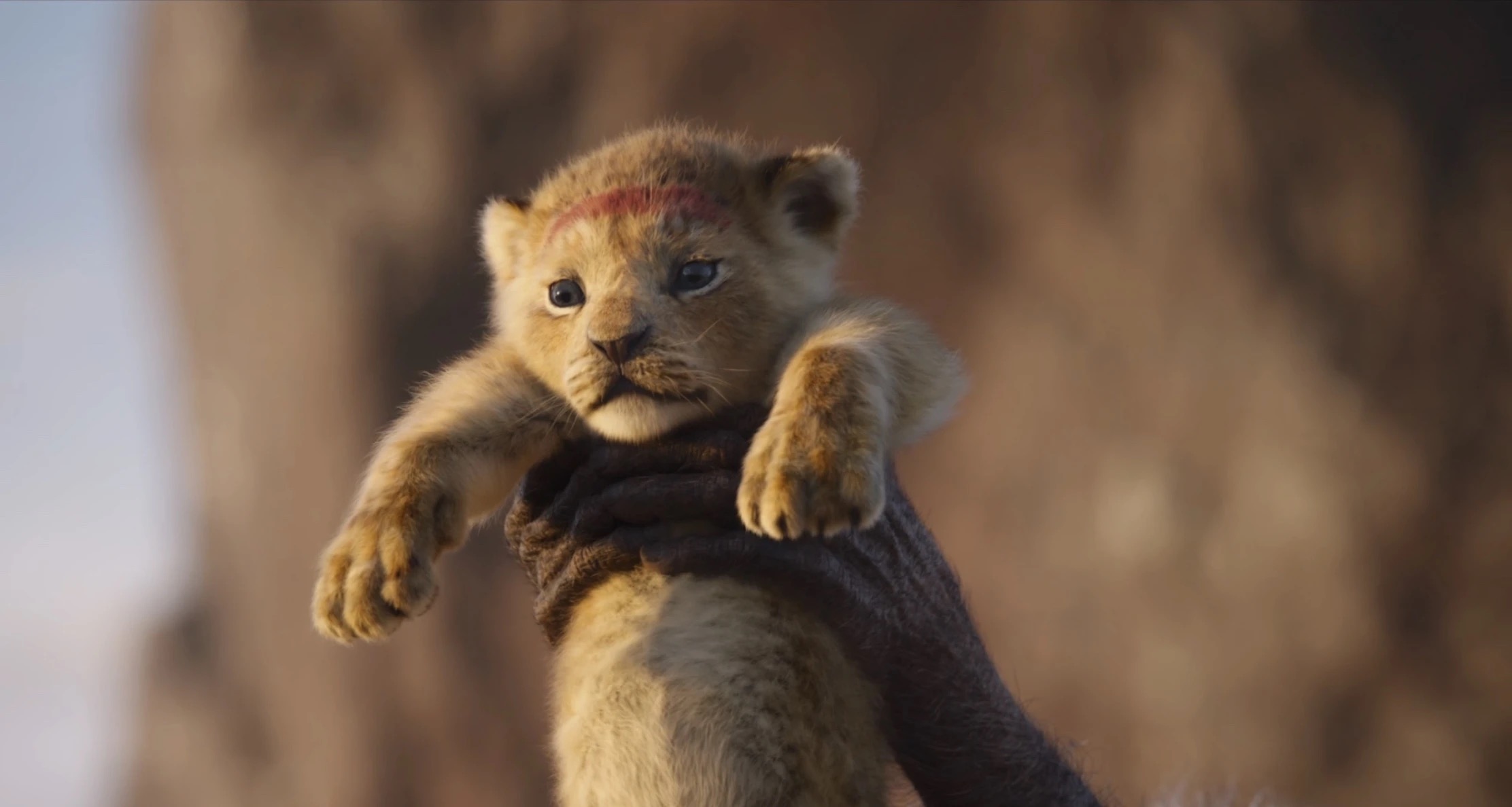 真人版狮子王成功延续经典下半年还有哪些可以期待的经典续篇