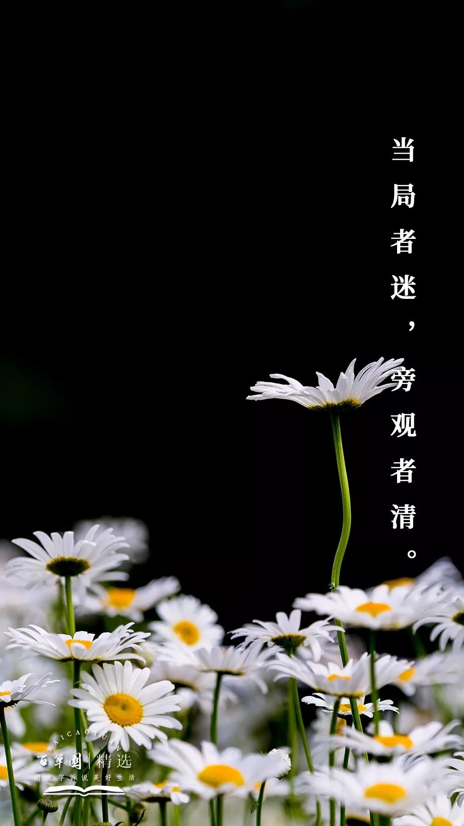 生活禅当局者迷旁观者清