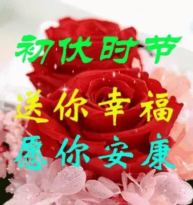今日入伏一首祝你健康送给我牵挂的人祝你幸福安康