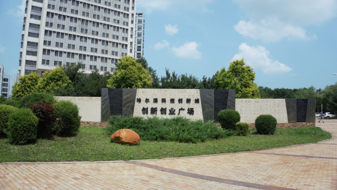 新区迎来20条新规创新发展更给力