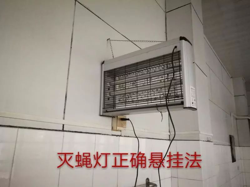 旧款灭蝇灯新款灭蝇灯六,店内外环境95室内外环境整洁.