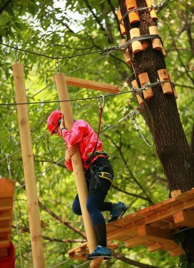 热血青年快来集合!浙江神仙居首届全国攀越丛林挑战赛开始报名