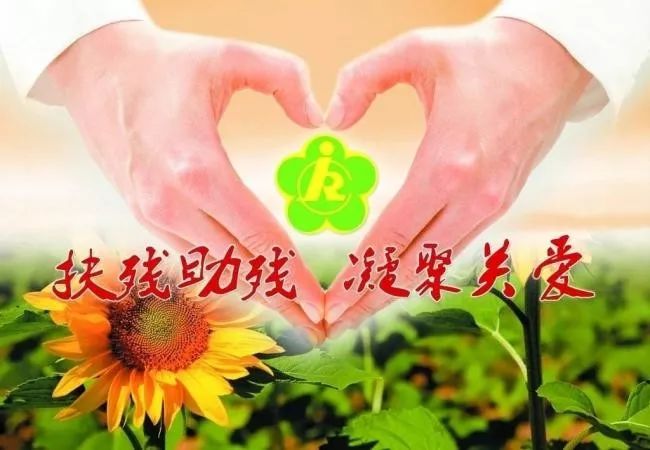 扶残助残政策多用爱撑起一片天何改荣
