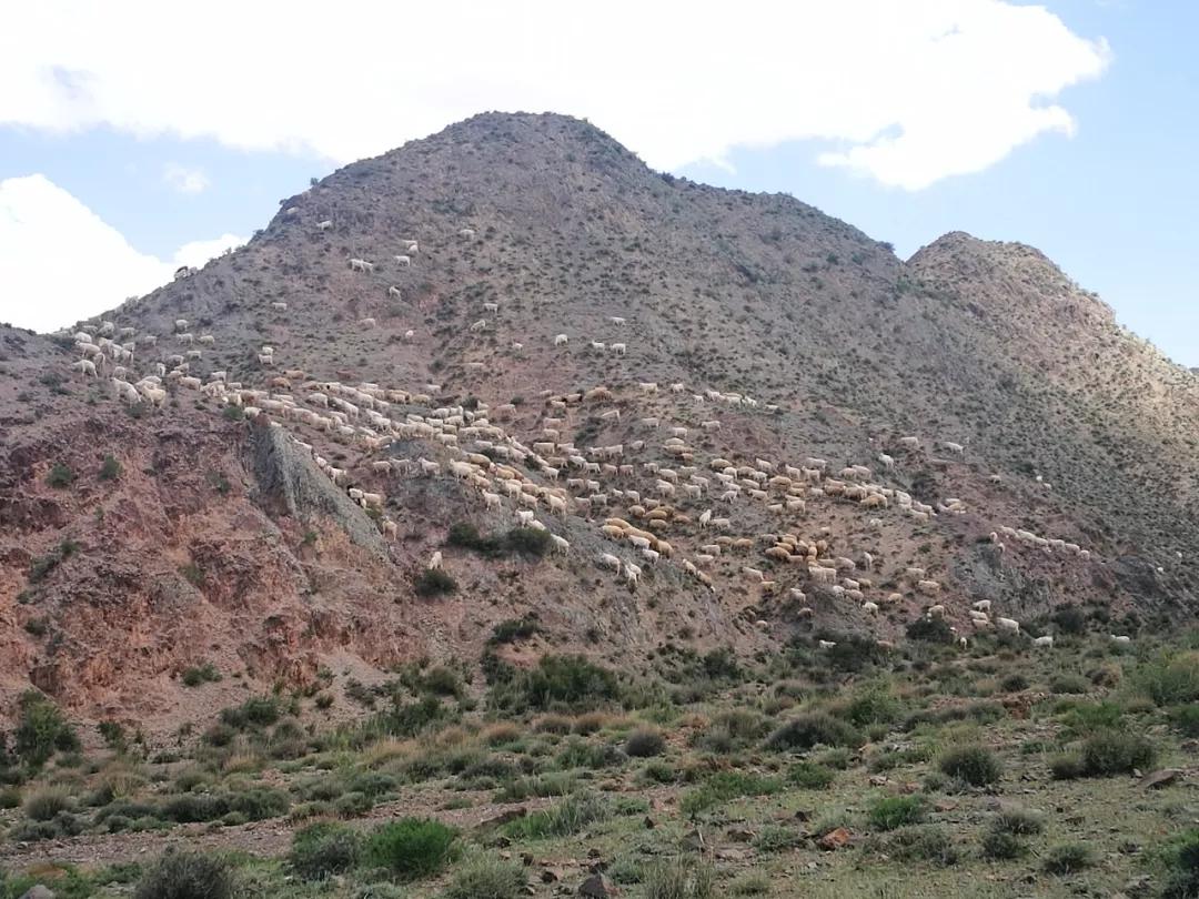 招募1号公告集体请假条2019中国玉门魔山英雄汇一起去野