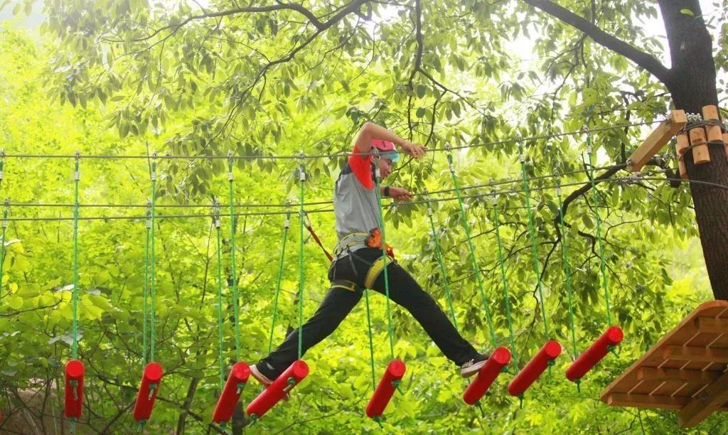 热血青年快来集合!浙江神仙居首届全国攀越丛林挑战赛开始报名