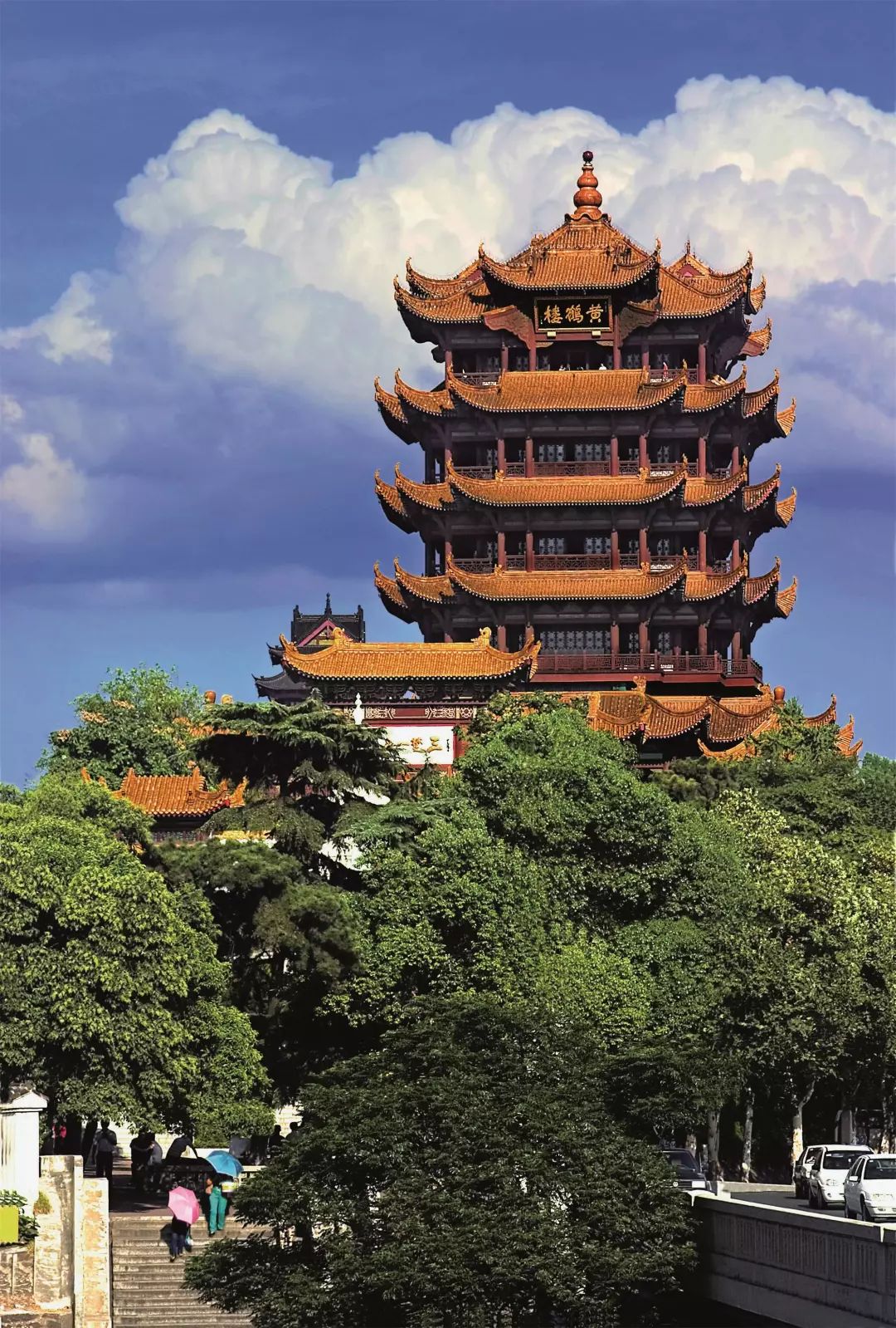 身边的鸟语林黄鹤是个什么鸟