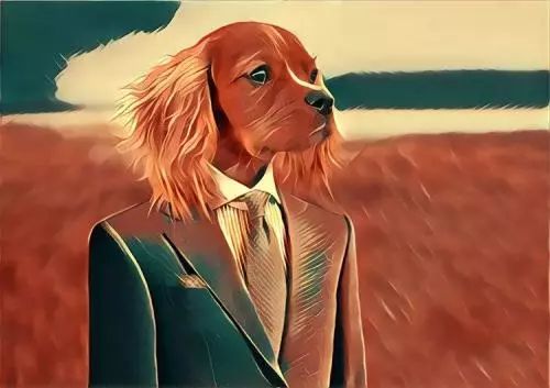 看《华尔街之狼》去券商上班,我成了月入4k的金融人