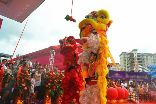 舞狮青菜,舞狮(第8页)_大山谷图库