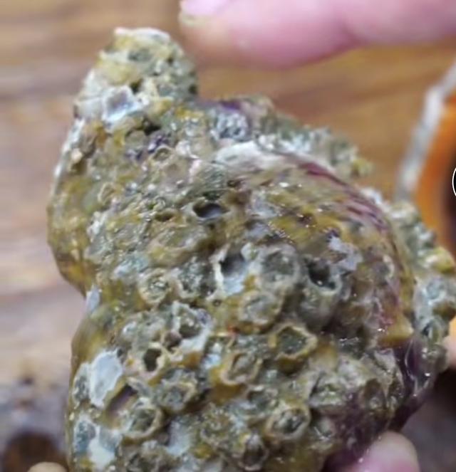 还有就是要挑表面光滑的,外表有"马牙子"的,凹凸