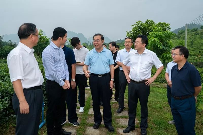 市委书记郭锋前往英德市黄花镇德高信茶业控股有限公司调研.