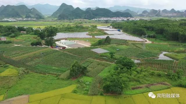 宾阳和吉镇图片