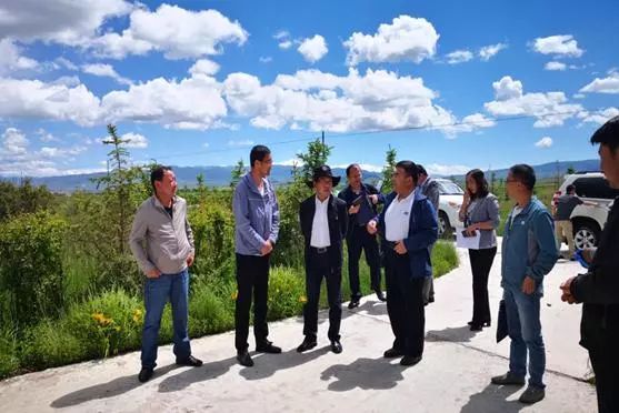 海北州委副书记政法委书记到海晏县检查指导乡村振兴战略工作