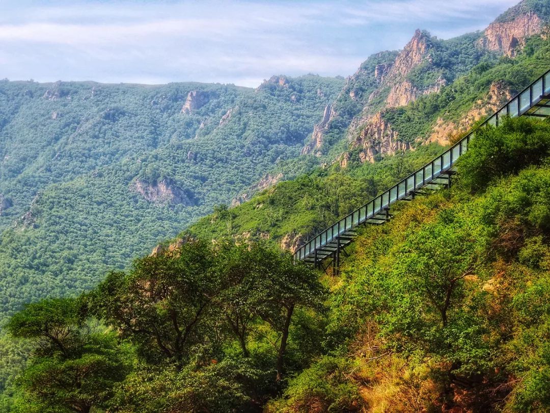 【景区资讯】九龙湾景区首届《丛林啤酒烧烤节》7月13日瞩目开场!