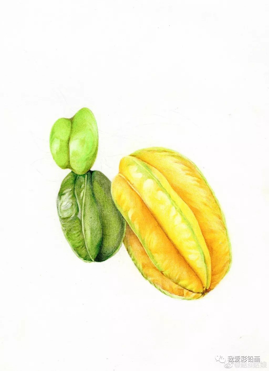 【作品分享】彩铅手绘杨桃