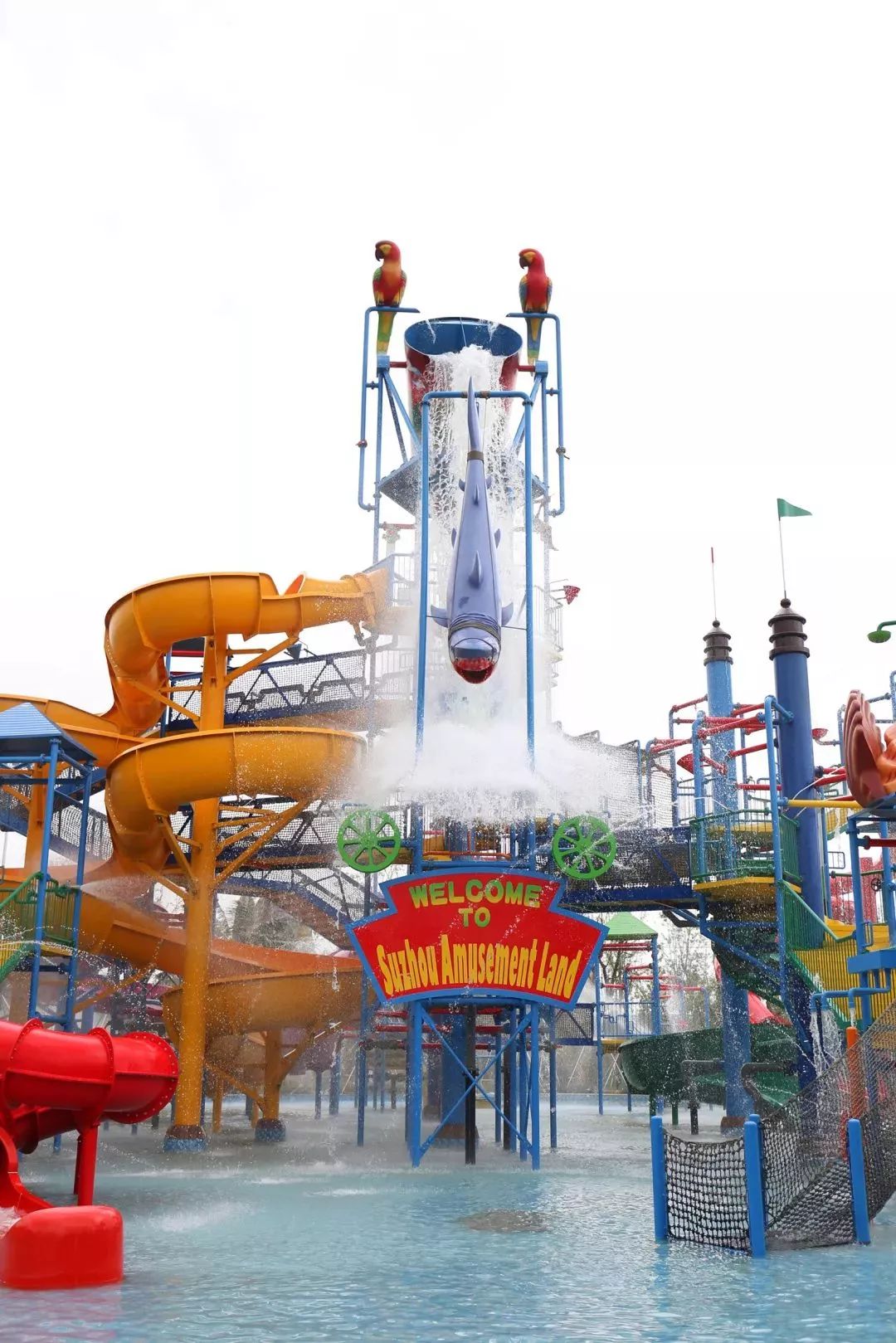 趣味亲子水上运动会来袭常熟宝贝们快来苏州乐园森林水世界