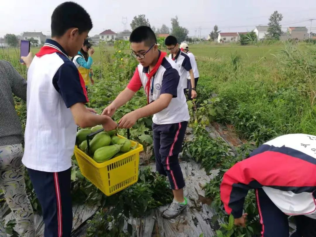 宝应县科协开展"2019年农村青少年校外教育项目"暑期实践活动