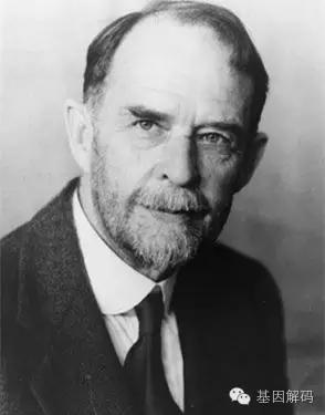 对基因解码的贡献:德国人阿尔布莱特.