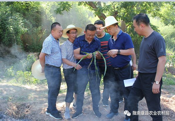 7月10日,按照县委的总体安排,县委副书记邱晓旭带县