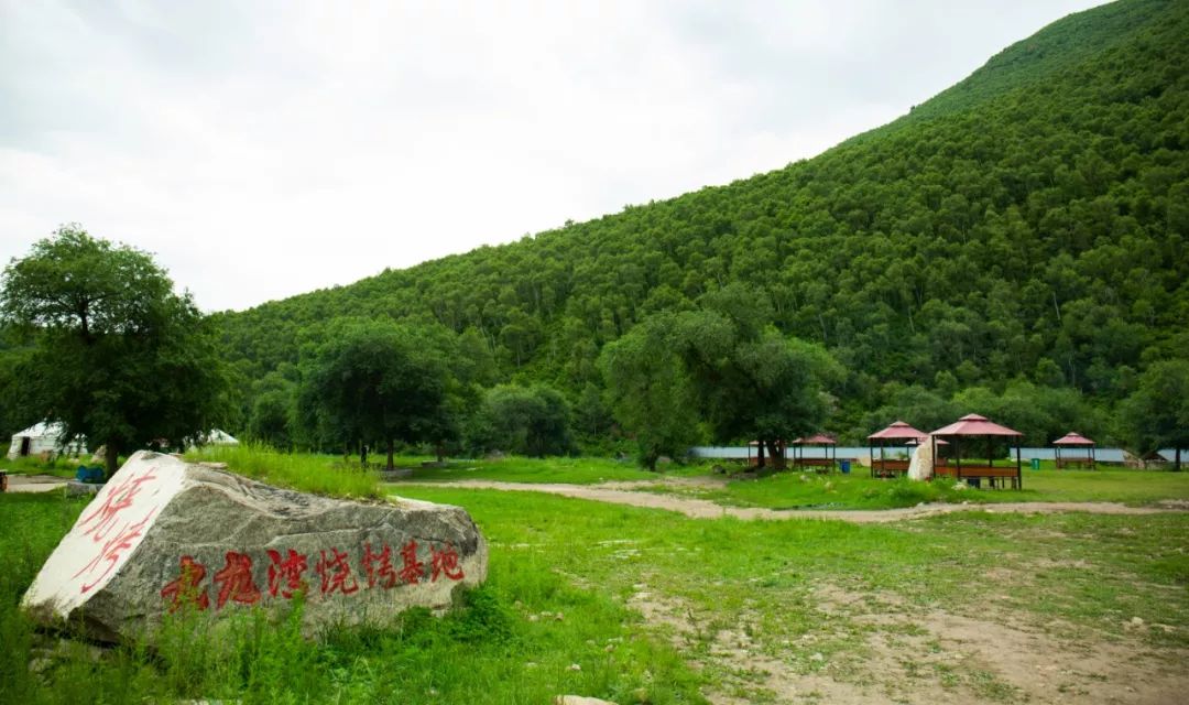 門票免費送!九龍灣景區首屆《叢林啤酒燒烤節》7月13日矚目開場