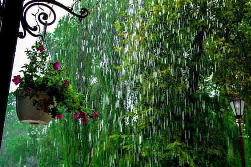 倾盆大雨像美丽珠帘我们一起欣赏绚丽多彩夏天雨飘的迷人味道