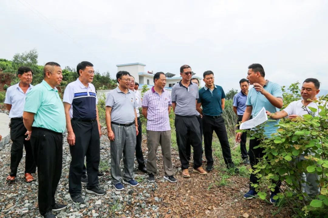 委员会主任高天森一行赴巧家县调研金塘镇梨树村道路建设完成完善情况