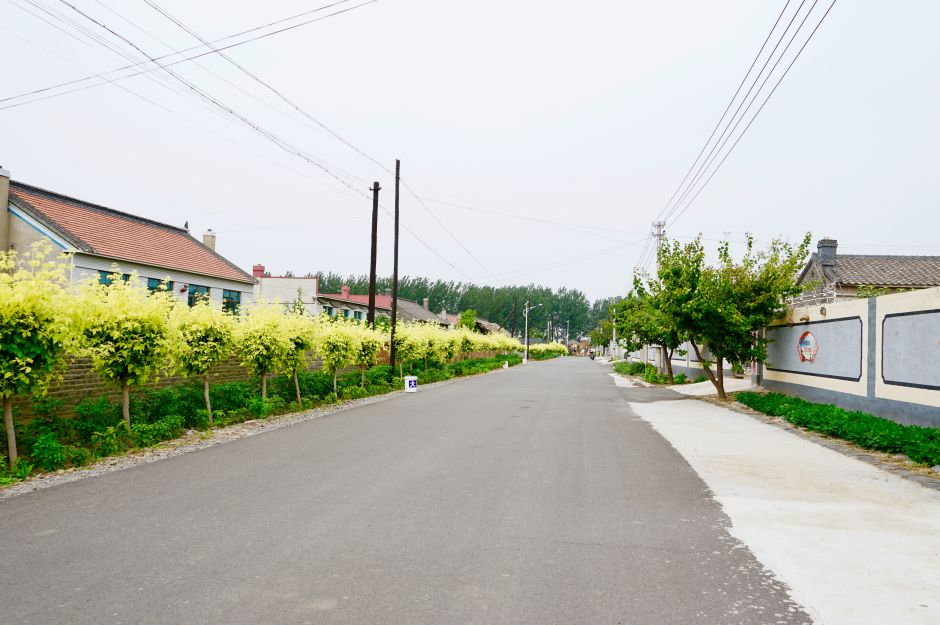 佟二堡镇亮子口村践行垃圾分类建设美丽乡村