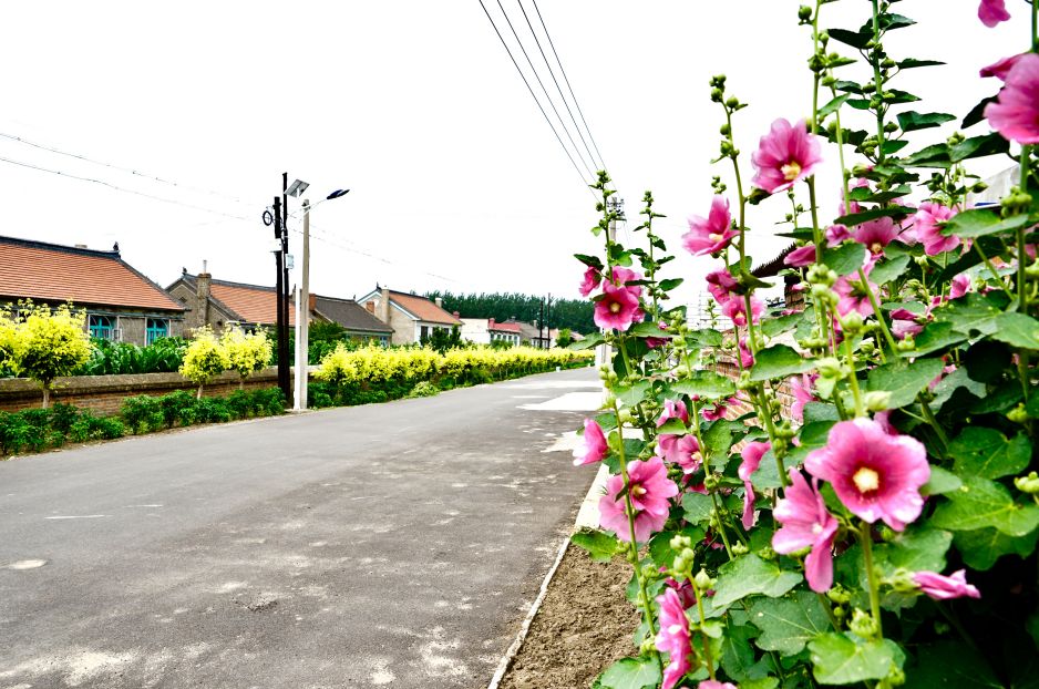 佟二堡曹杰简介图片