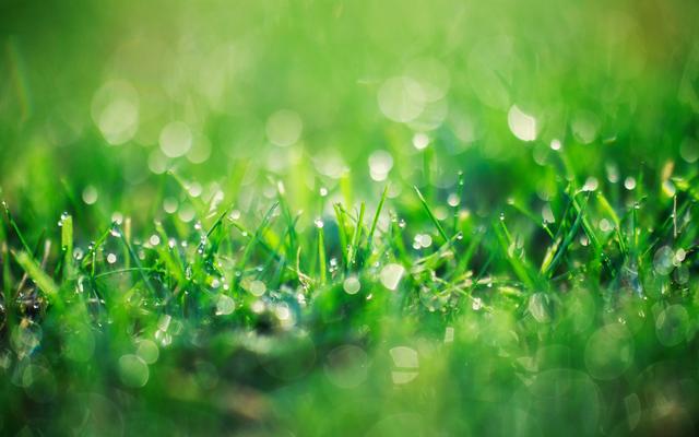 倾盆大雨像美丽珠帘我们一起欣赏绚丽多彩夏天雨飘的迷人味道