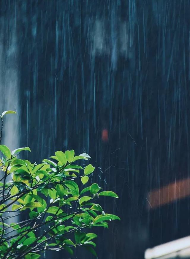 小雨的照片唯美雨景图片