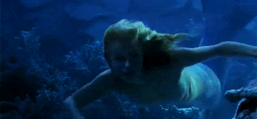 500_233gif 动态图 动图