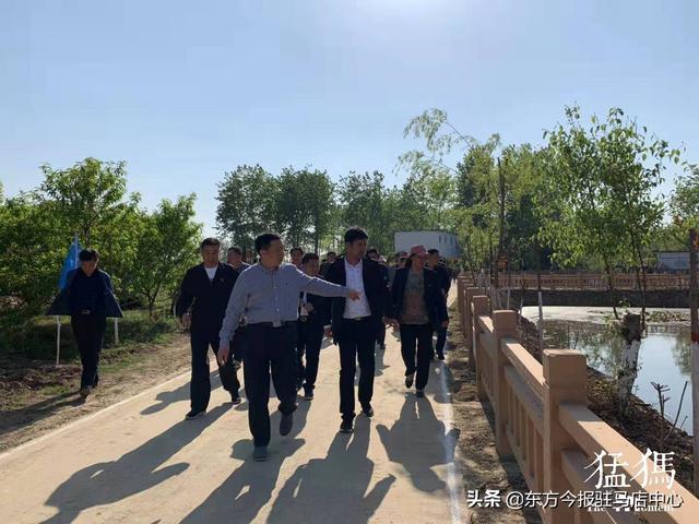 正阳县铜钟镇统筹兼顾成合力倾力打造宜居环境