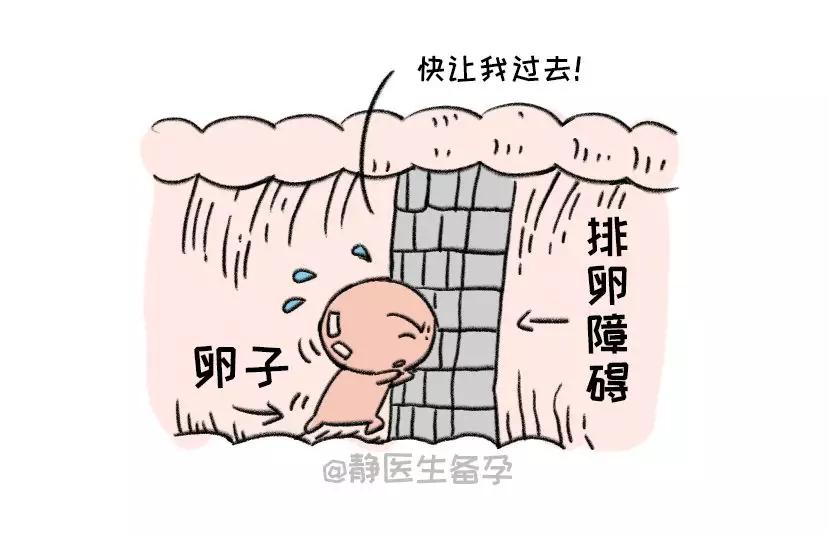 另外,如果长期不排卵,性激素代谢紊乱,子宫内膜过度增生而无周期性孕