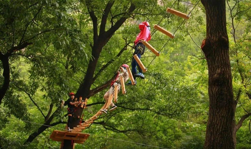 热血青年快来集合!浙江神仙居首届全国攀越丛林挑战赛开始报名