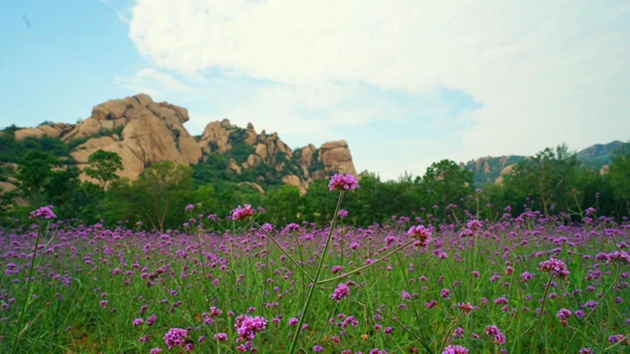 清凉一夏浪起来 嵖岈山欢乐消夏节冰爽来袭