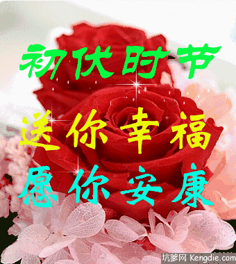 今日入伏送给你的越快打开越好愿你一生幸福