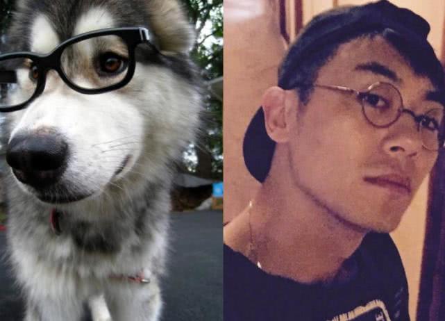 了解朱亚文的人都知道有时候他的一些表情还被身边朋友调侃像极二哈