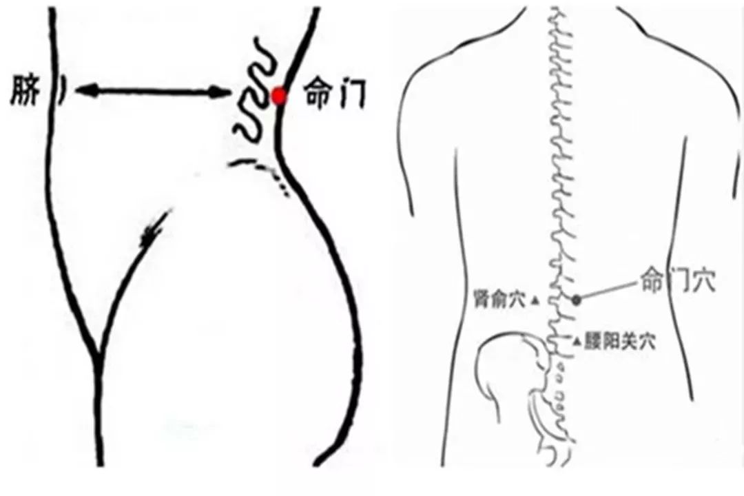 今日入伏,不会三伏灸的,可以收藏了_艾灸