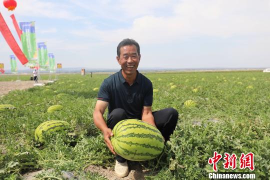 硒砂瓜种植
